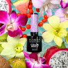 Color Gel Polish - Claresa - Tropical Escape № 8, 5 g
