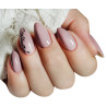 Gel polish – Claresa Nude No. 117 – 5 mll